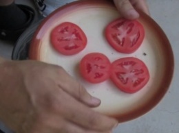 Он кладет кусочки томатов на землю. Как на пиццу! Результат проявился через 10 дней