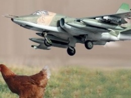 Angry Birds против Су-25. Или соцсети про Курицу, что выжила