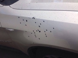 Авто адвоката "бриллиантового прокурора" обстреляли из ружья