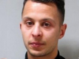 Парижский террорист Абдеслам готов сотрудничать с французскими властями