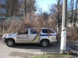 Дерево упало на автомобиль полиции в Волынской области, есть пострадавшие