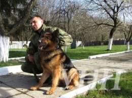 Содержание одной служебной собаки в кинологическом центре Закарпатской области стоит около 50 грн в сутки