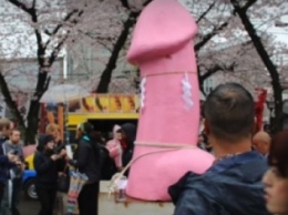 Фестиваль пенисов: в Японии украсили город гигантскими розовыми пенисами (ВИДЕО)