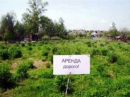 В Запорожской области выросла стоимость аренды земли