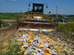 Россияне уничтожили в Крыму почти две тонны санкционных продуктов