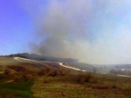 В Краматорске произошло масштабное возгорание хвойного леса