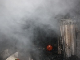 В Запорожской области пожарные спасли авто из горящего гаража