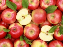 В России уничтожили 22 тонны "санкционных" украинских яблок