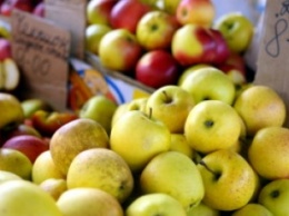 В Туле раздавили 22 тонны украинских яблок