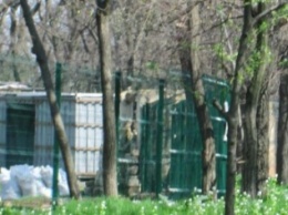 Одесский «Зеленый театр» позеленеет (ФОТО)