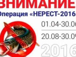 "Нерест-2016": макеевским рыболовам рассказали о правилах, запретах и штрафах