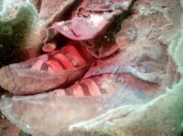 В Монголии археологи обнаружили мумию в «ботинках Adidas»