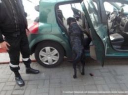 Во Львовской обл. пограничники обнаружили в автомобиле более 10 тыс. наркотических таблеток