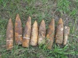 На Житомирщине пиротехники взорвали 12 боеприпасов