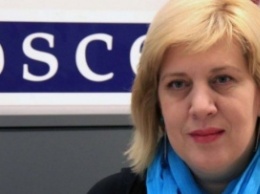 ОБСЕ встало на защиту журналистов в Крыму