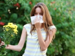 Сезонная аллергия: симптомы, причины, средство борьбы