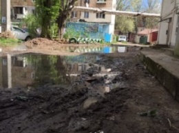 Одесский двор, уставший плавать, написал Порошенко жалобу (ФОТО)
