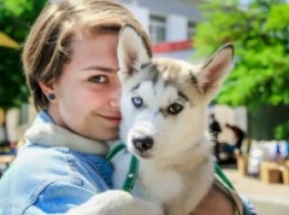 Апрель хвостатый: в Николаеве прошла сертификатная выставка собак всех пород «Весна Прибужья 2016»