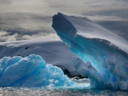 Ученые: Бактерии на Антарктику заносятся с других континентов