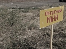 Житель Донецкой области подорвался на растяжке