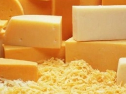 В РФ уничтожили 26 тонн немецкого и голландского сыра