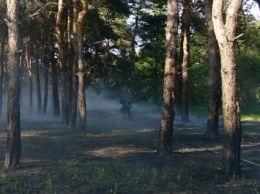 Спасатели потушили пожар в Балабановском лесу на площади 5 тысяч квадратных метров