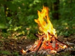 В ГСЧС предупредили: в ближайшие дни в Николаевской области будет преобладать высокая пожарная опасность