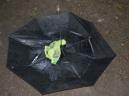 В Краматорском парке во время грозы погибла девушка