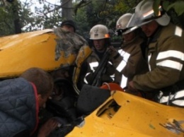 В Кировоградской области автомобиль врезался в дерево, пострадал водитель. ФОТО