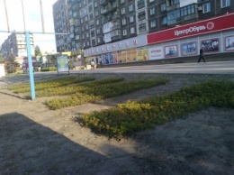 В Алчевске появилась «мирная» клумба