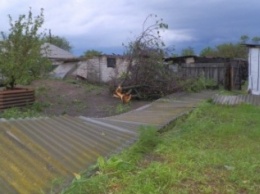 В Луганской области пронесся ураган (фото)