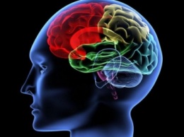 Получена первая ЭЭГ мозга во время «божественного откровения»