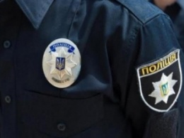 В Днепродзержинске хотят создать патрульную полицию