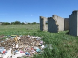 Рядом с крымским селом обнаружена свалка трупов свиней (ФОТО 18+)