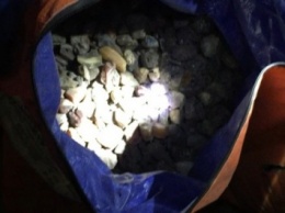 Правоохранители изъяли более 40 кг янтаря в Ровенской области