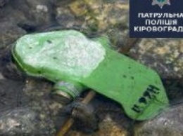 В Кировограде взорвались противопехотные мины