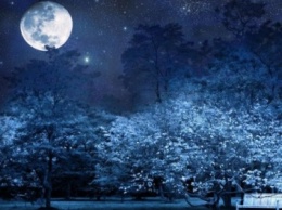 В ночь на 22 мая москвичи смогут увидеть «цветочное» полнолуние
