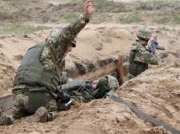 В Черниговской области военные привыкали к стандартам НАТО (фото)