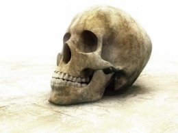 На юге РФ обнаружены древние черепа со следами ритуальной трепанации