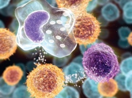 Ученые смогут управлять иммунитетом при помощи воспалительной реакции