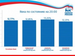 Явка на праймериз "Единой России" в Крыму составила 12%