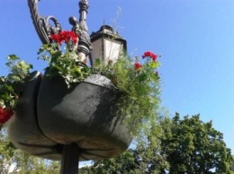 На Приморском бульваре Одессы высадят 265 кв.м летних цветов