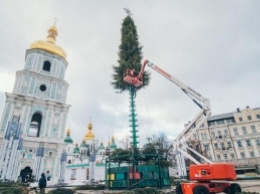 На Софийской площади начали устанавливать главную елку страны: невероятные кадры