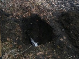 В Житомирской области снова обнаружили незаконную врезку в нефтепровод "Дружба"