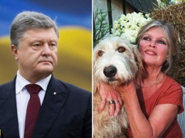 Брижит Бардо просит украинского президента спасти животных в Покровске