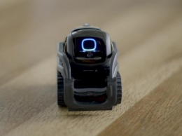 Робот Vector от Anki получит обновление Alexa