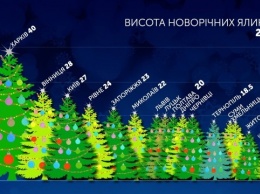Запорожская елка стала одной из самых высоких в Украине (ФОТО)