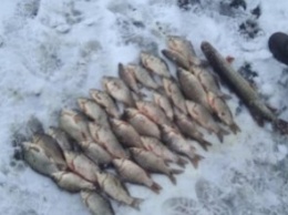 На Днепропетровщине рыбаки незаконно выловили более 130 кг. рыбы, - Госрыбагенство