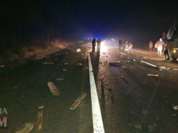 В Одесской области BMW на скорости врезался в гужевую повозку: извозчик погиб, лошадь тяжело травмирована