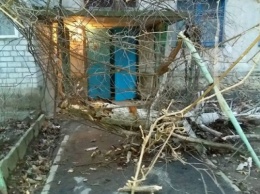На улице Ивана Богуна около подъезда многоэтажного дома упало дерево